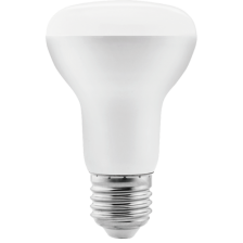 LED R Bulb series